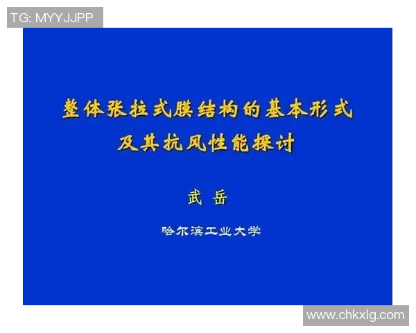 vs与am的模糊区别探讨及其在不同语境中的应用分析