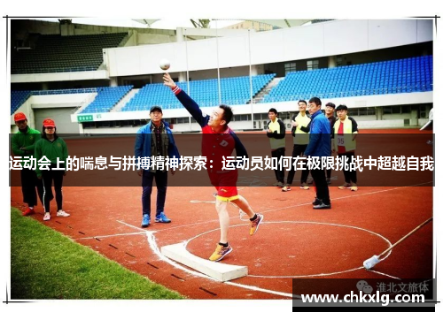 运动会上的喘息与拼搏精神探索：运动员如何在极限挑战中超越自我